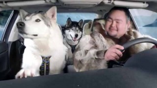 アラスカで犬ぞりレースに出かけて行ったら..  覆面パトに採用されてるスズキキザシをゲット！