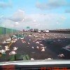 【事故】スティーブ・マックイーンもビックリw 台湾の高速道路上で鶏の大群がトラックから大脱走！ 一面鶏だらけに。